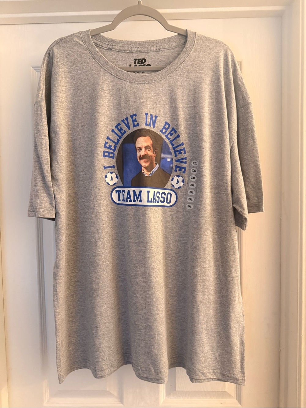 Ted Lasso Believe In Believe Short Sleeve Graphic Tee - Grey